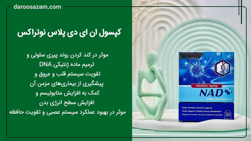 کپسول ان ای دی پلاس نوتراکس و تقویت حافظه