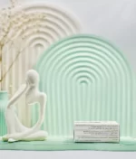 قرص آگنوگل گل دارو 100 عددی