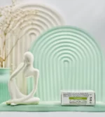 قرص آگنوگل گل دارو 100 عددی - Image 4