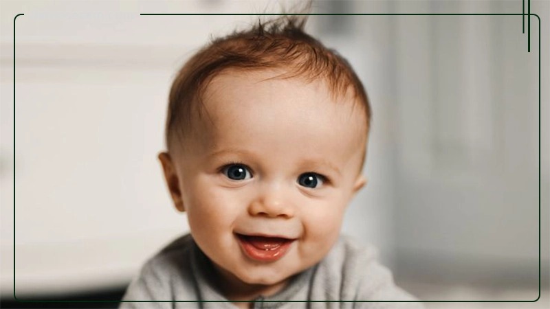 قطره دی ترول ویتان 30 میلی لیتر