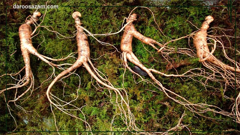 قرص ایکس اید گلدن لایف 60 عددی 