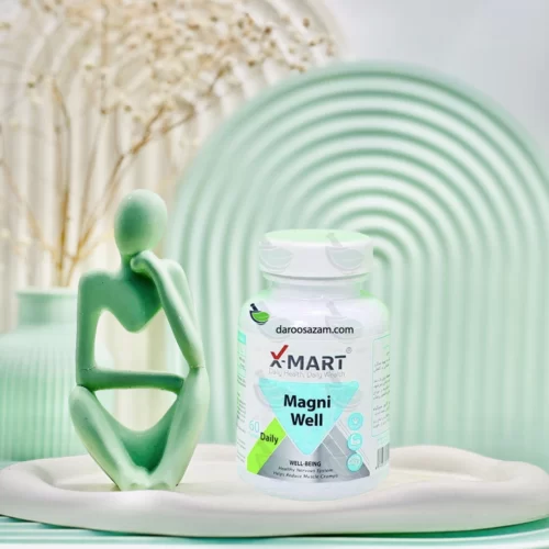 قرص مگنی ول ایکس مارت 60 عددی