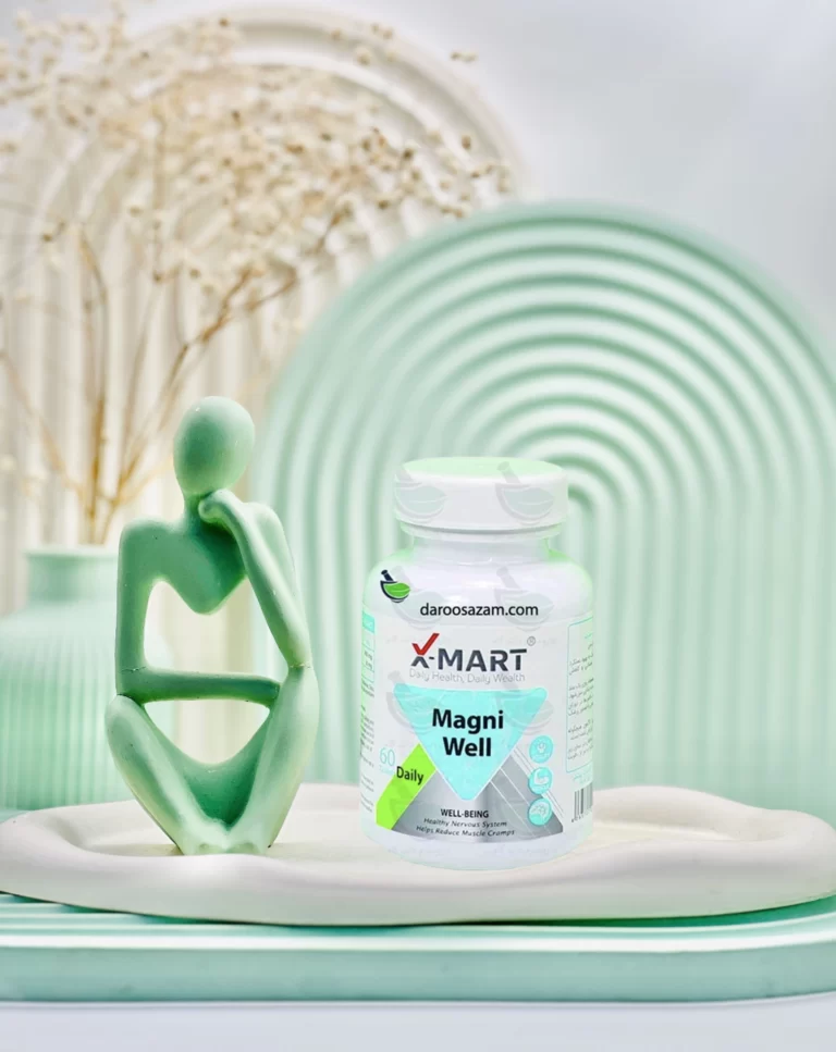 قرص مگنی ول ایکس مارت 60 عددی