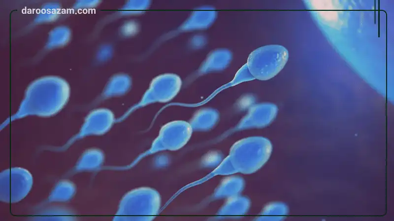 کپسول موتیلیتی بوست فیرهون هلث آقایان 60 عددی