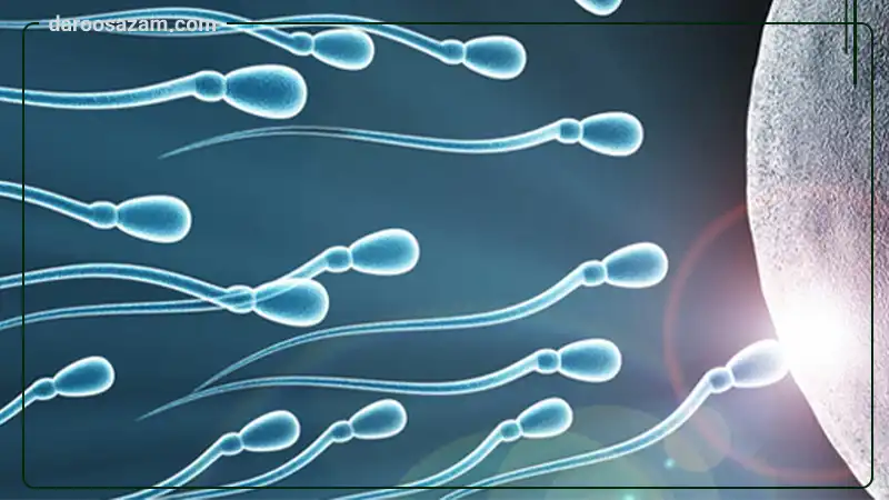 کپسول فرتیل اید فیرهون هلث آقایان 90 عددی