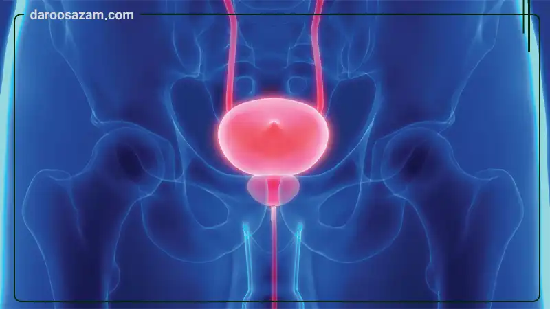 قرص پروستیکا گلدن لایف 30 عددی