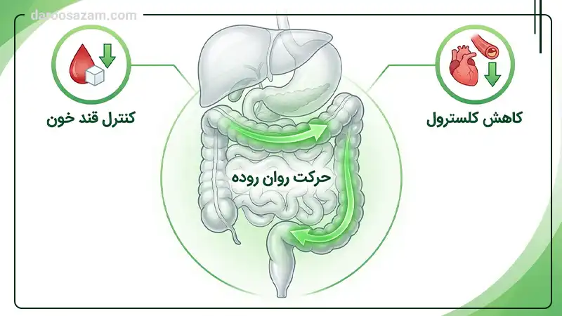 کپسول زوبوکس های هلث 30 عددی