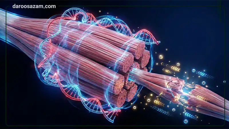 قرص ال آرژنین 1000 میلی گرم هلث اید 30 عددی