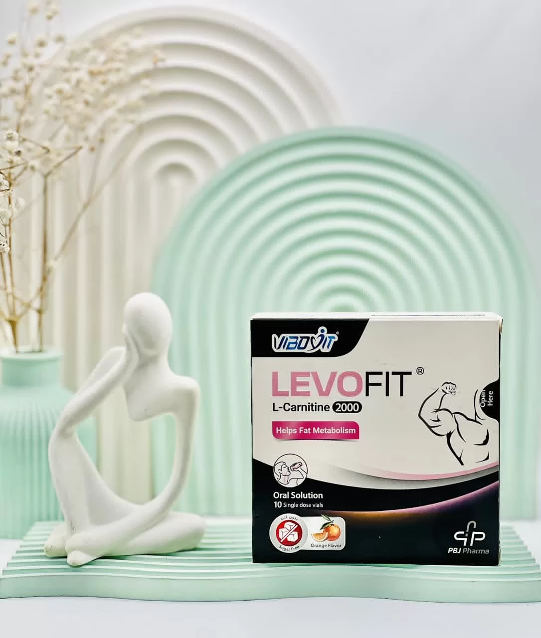 ویال لووفیت ال کارنیتین 2000 پارس بهروزان جم فارما 10 عددی داروسازم دات کام ویال لووفیت ال کارنیتین 2000 پارس بهروزان جم فارما 10 عددی