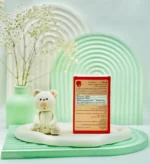 ساشه کیدی گارد زیست تخمیر با طعم توت فرنگی 15 عددی