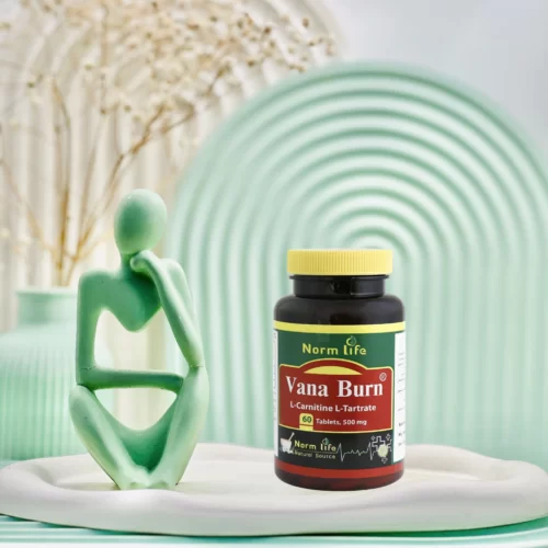 قرص ال کارنیتین وانا برن 500 میلی گرم نورم لایف 60 عددی