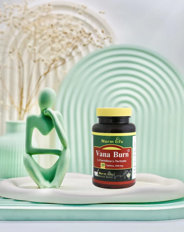 قرص ال کارنیتین وانا برن 500 میلی گرم نورم لایف 60 عددی