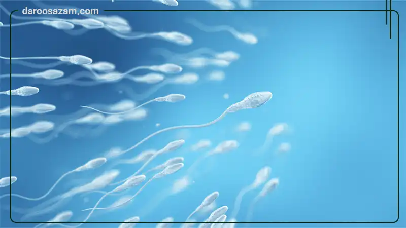 قرص بلومکس ابورنز تسنیم 60 عددی