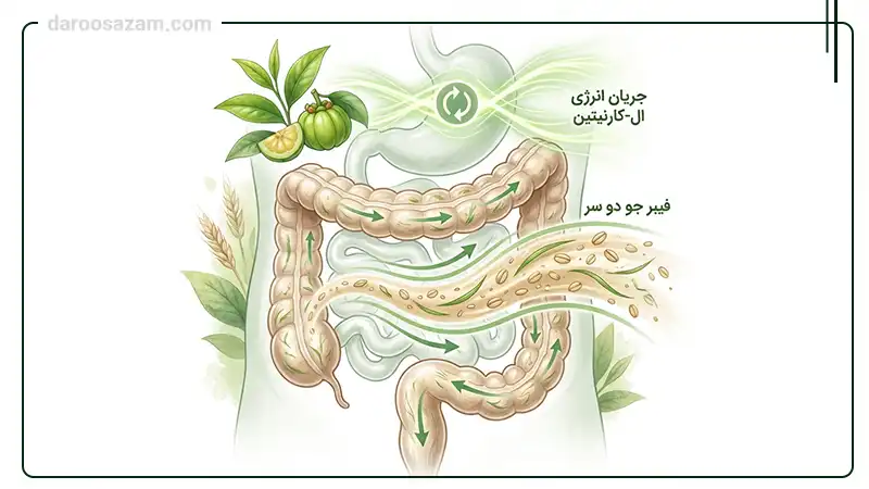 کپسول نیچرفیت دیموند ۶۰ عددی