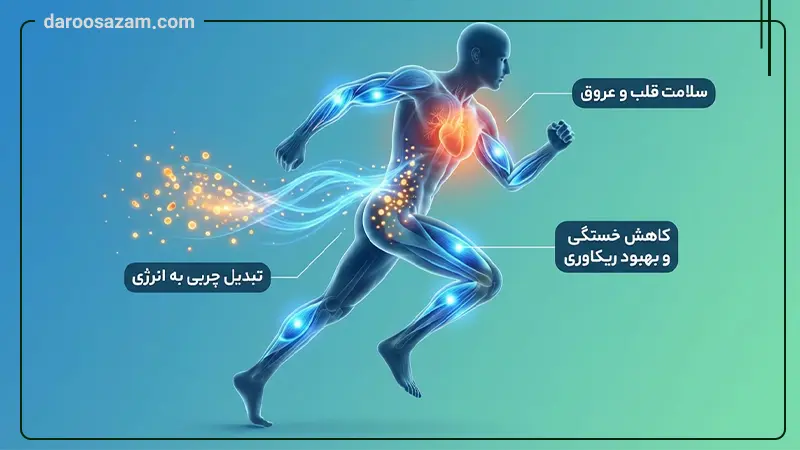 ویال ال کارنیتین 1000 میلی گرم نورم لایف 10 عددی