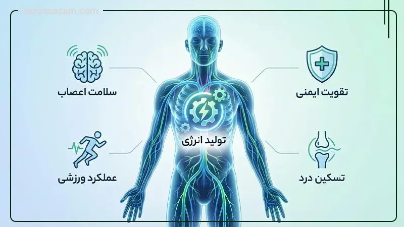 شات نوروبین تک دوزی 1000 میکرو گرم بی اس کی 10عددی