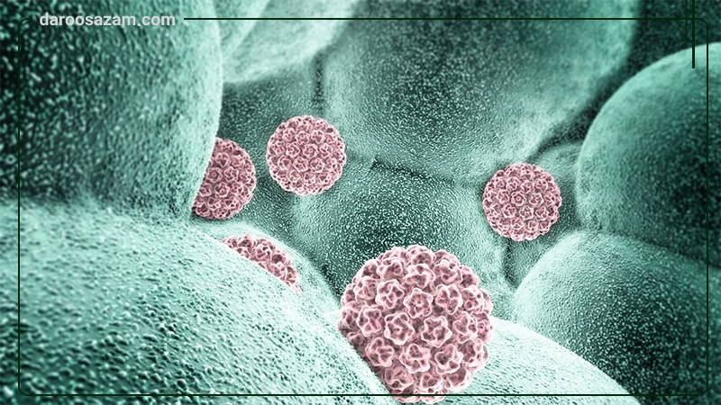 کپسول هگزایم و پماد کلی وارتس (درمان زگیل تناسلی)