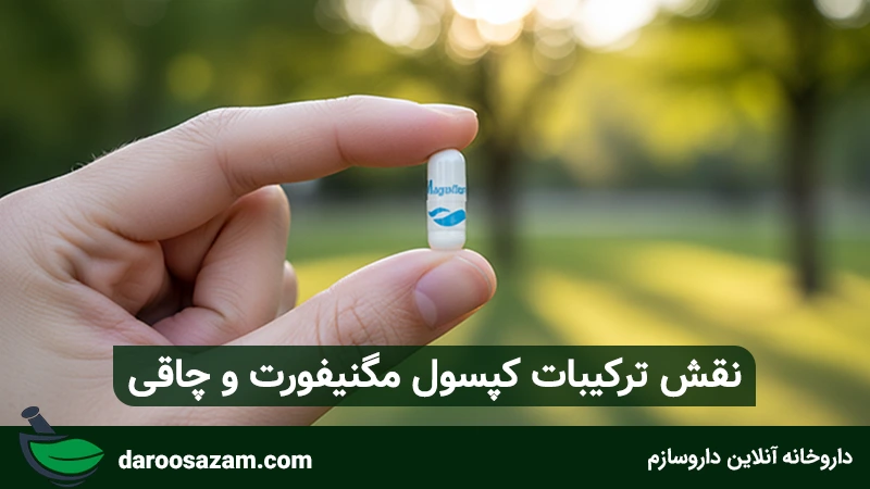 نقش ترکیبات کپسول مگنیفورت و چاقی