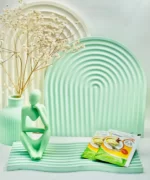 ساشه تیموسیپ نویا ویژن