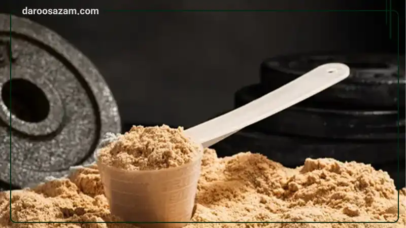 پودر وی گلد دوبیس با طعم شکلات 2270 گرم