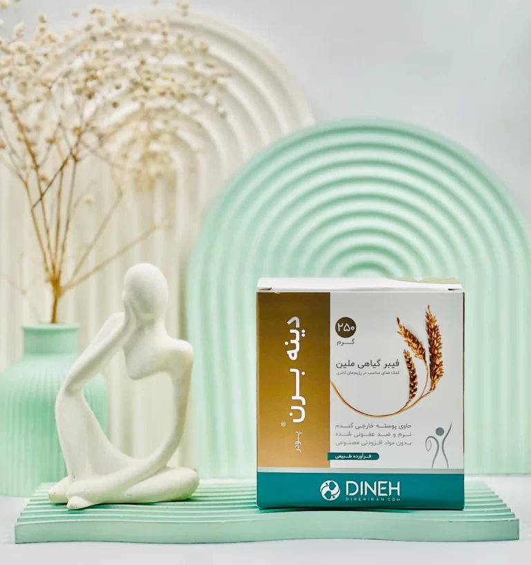 پودر دینه برن دینه 250 گرم