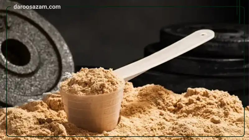 پودر وی ایزوله اتلن اسپورت 2300 گرمی