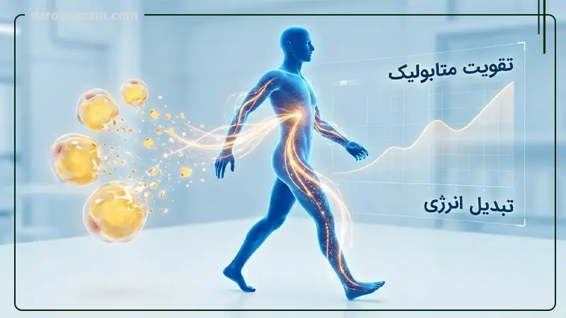 قیمت قرص ال کارنیتین برای لاغری