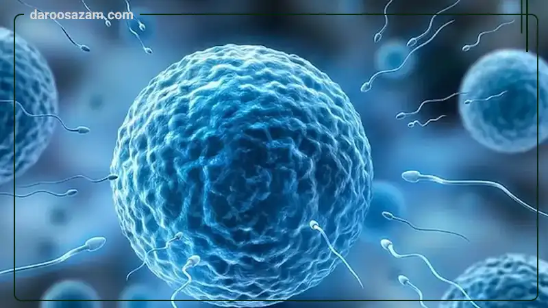 تقویت باروری آقایان