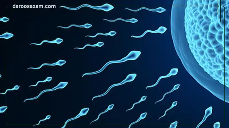 تقویت باروری آقایان