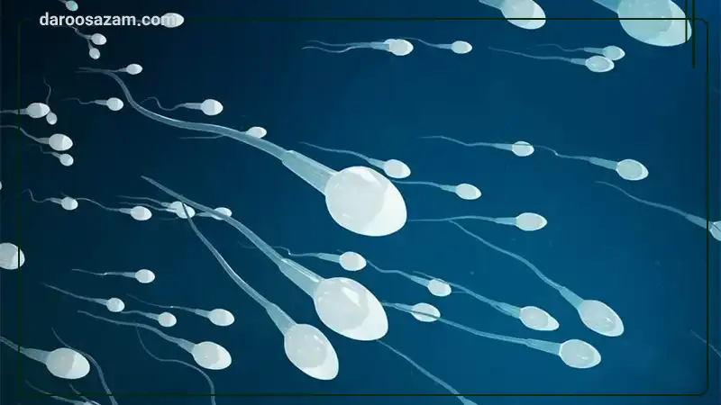 تقویت باروری آقایان