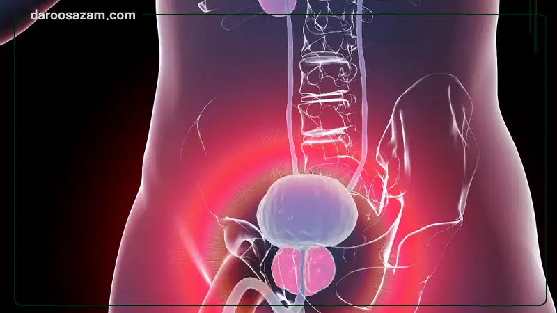 قرص پروستات