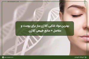 بهترین مواد غذایی کلاژن ساز برای پوست و مفاصل + منابع طبیعی کلاژن